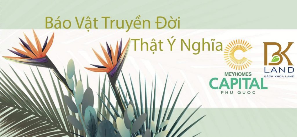 Meyhomes-capital-phu-quoc Meyhomes-capital-phu-quoc