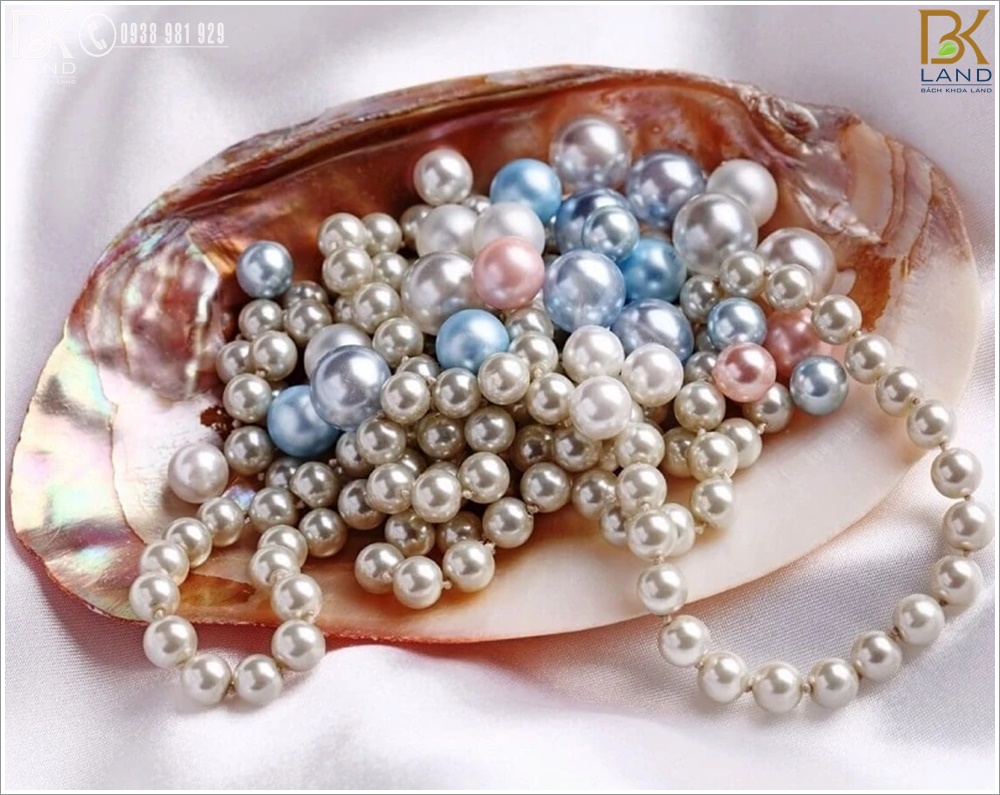 Đặt sản Phú Quốc 11