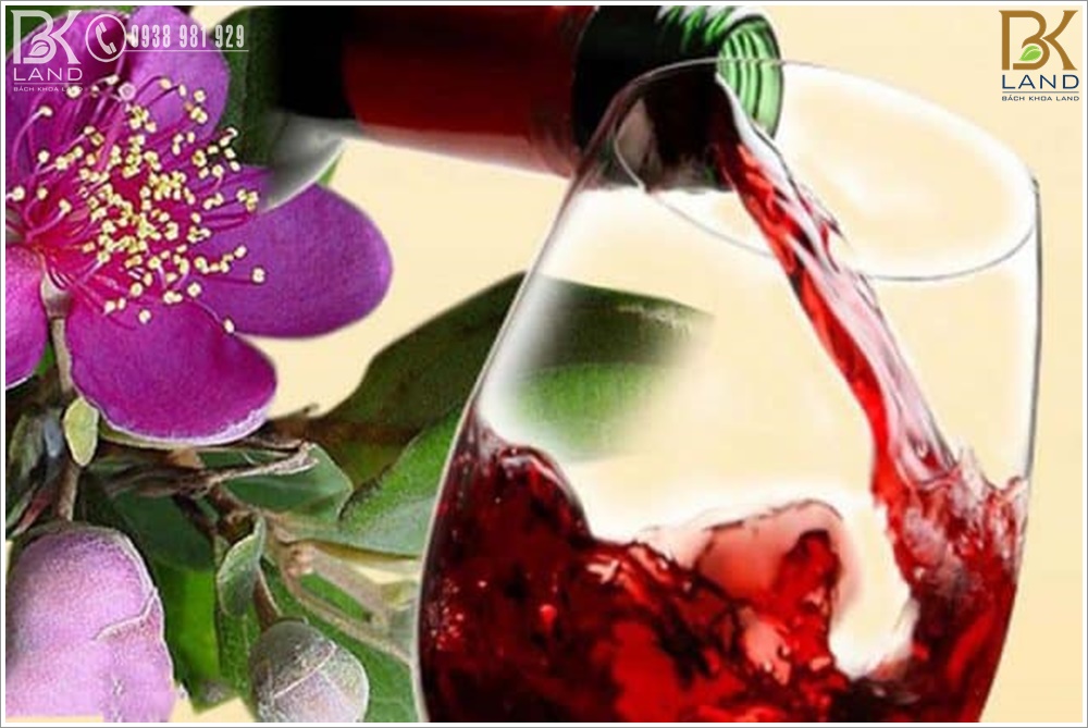 Đặt sản Phú Quốc 8