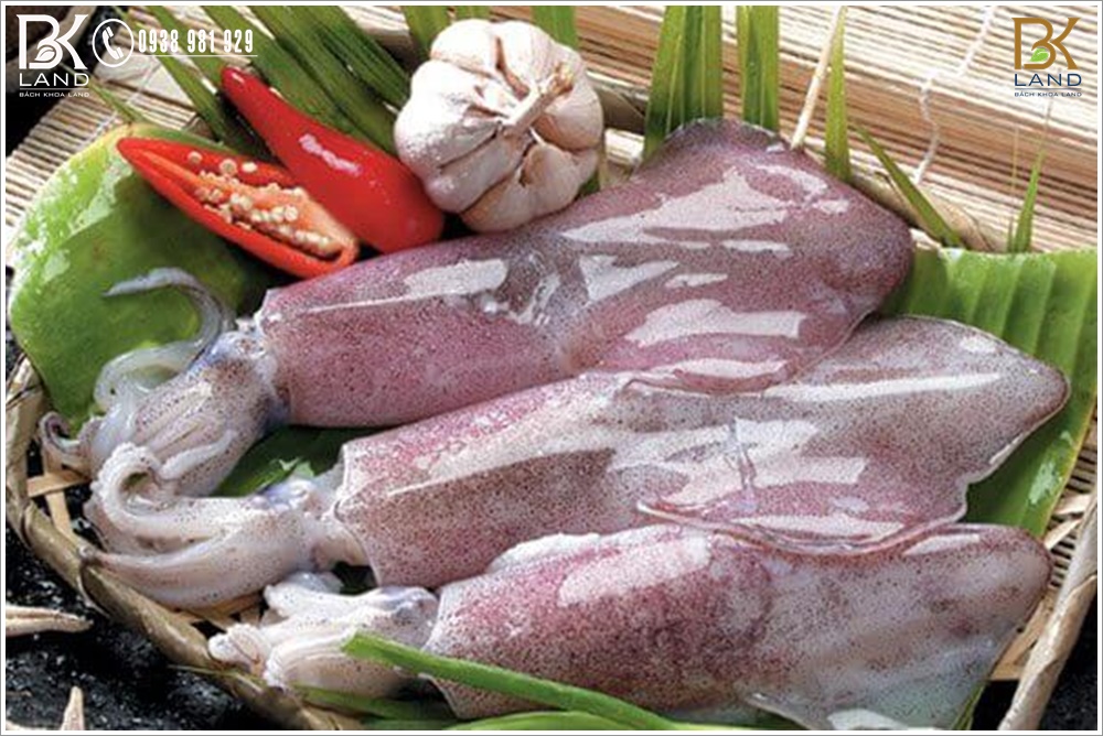 Vựa hải sản Phú Quốc 5 Vựa hải sản Phú Quốc 5