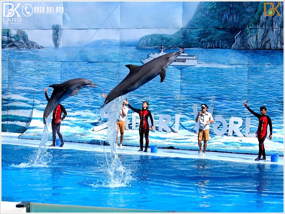 Tour Vinpearl Phú Quốc 4 Tour Vinpearl Phú Quốc 4