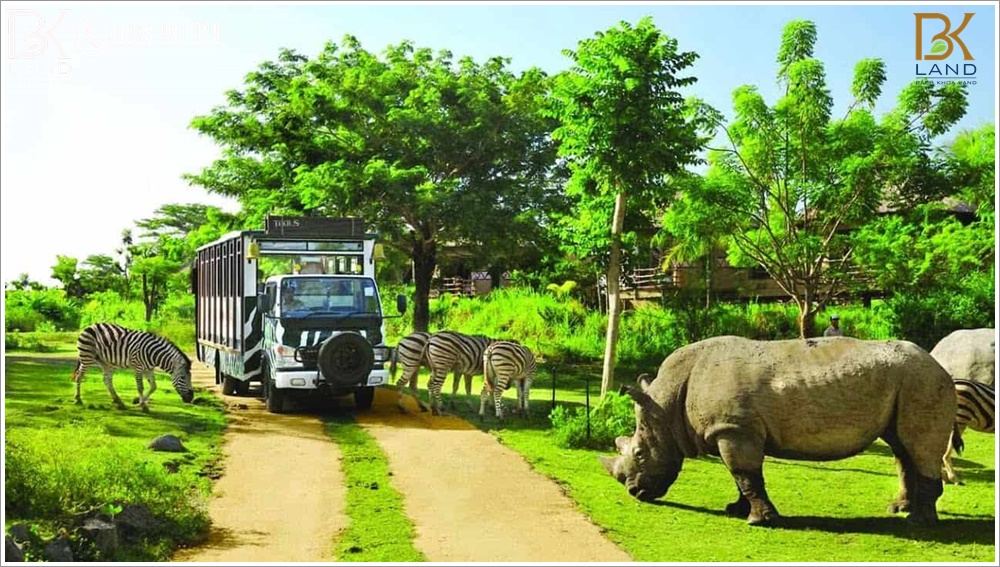 What to do in Phu Quoc 6 What to do in Phu Quoc 6