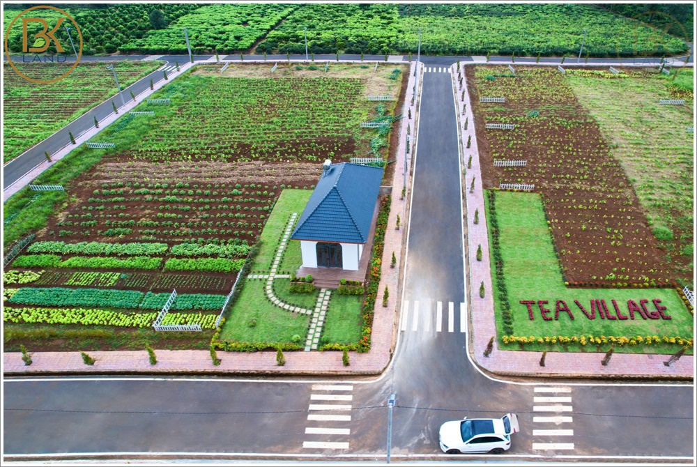 tea-village