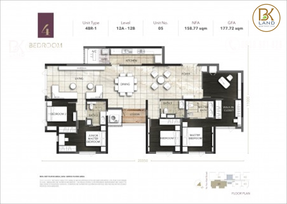 d1-mension d1-mension