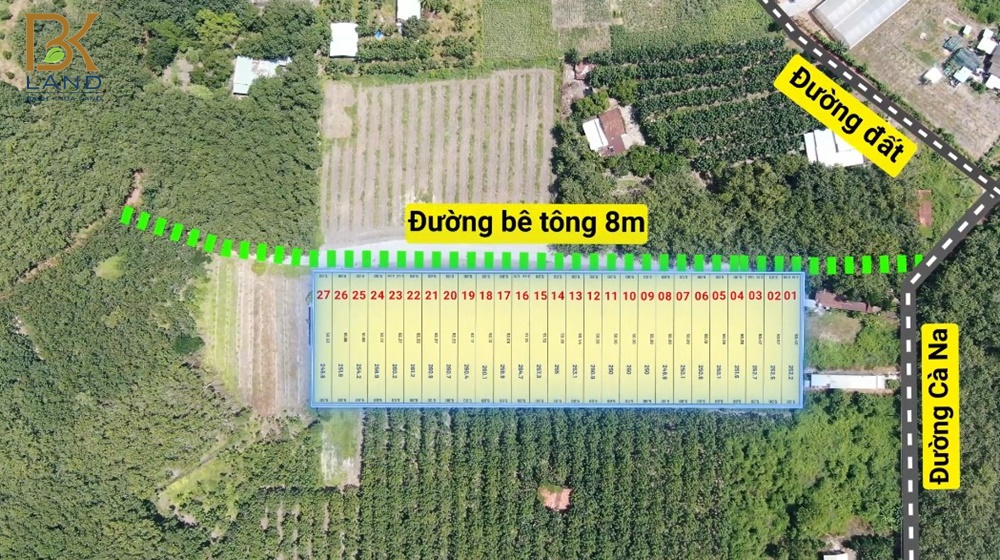 Dự án bất động sản Bình Dương 125